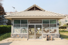 AI5A9130_resize