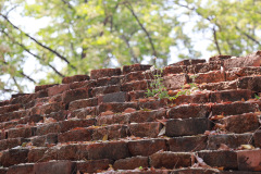 AI5A9191_resize
