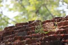 AI5A9192_resize