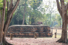 AI5A9239_resize