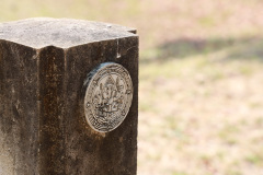 AI5A9244_resize