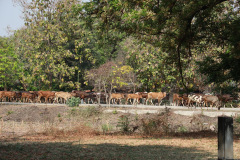 AI5A9261_resize