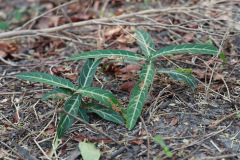 AI5A9284_resize