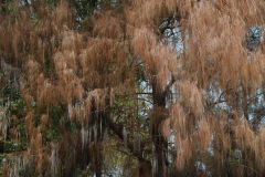AI5A9289_resize