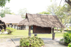 AI5A9313_resize