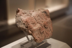 AI5A9425_resize