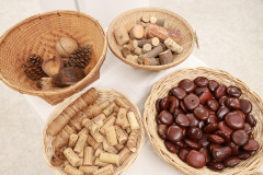 AI5A1069_resize