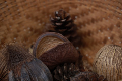 AI5A1073_resize