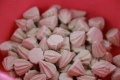 AI5A5049_resize