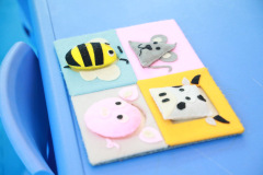 AI5A8080_resize