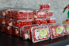 AI5A8216_resize
