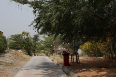 AI5A8621_resize