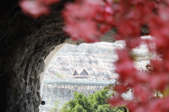 AI5A8656_resize