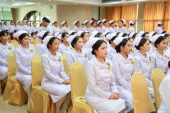 4B8A3113