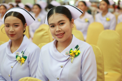 4B8A3523