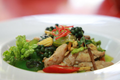 AI5A0981_resize