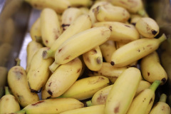 AI5A1163_resize