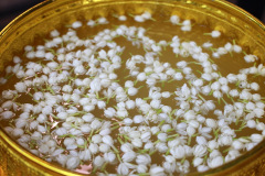 AI5A2242_resize