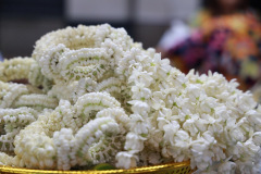 AI5A2436_resize