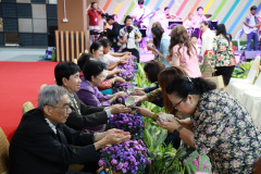 AI5A2646_resize