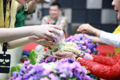 AI5A2696_resize