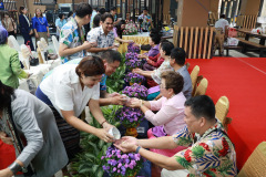 AI5A2753_resize