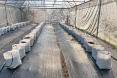LINE_ALBUM_23468_250423_34
