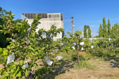LINE_ALBUM_23468_250423_36