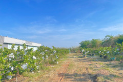 LINE_ALBUM_23468_250423_37