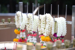 AI5A1775_resize