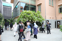 AI5A2338_resize