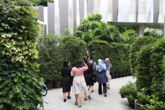 AI5A2339_resize