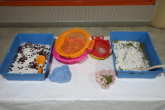 AI5A2402_resize