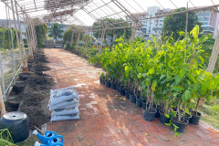 LINE_ALBUM_21568_250521_11