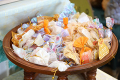 AI5A6459_resize