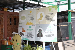 AI5A6517_resize