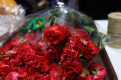 AI5A7695_resize