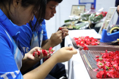 AI5A7727_resize