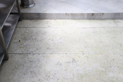 AI5A4626_resize