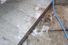 AI5A4635_resize