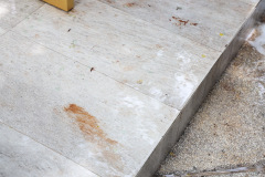 AI5A4646_resize