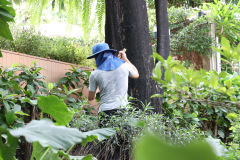 AI5A4662_resize