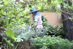 AI5A4666_resize