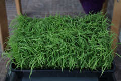 AI5A0898_resize