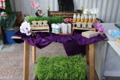 AI5A0922_resize