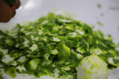 AI5A8443_resize