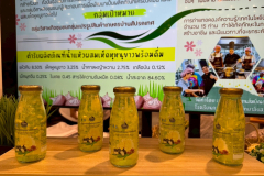 LINE_ALBUM_Sun-Thailand_250904_52