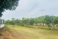 LINE_ALBUM_251168_251125_10