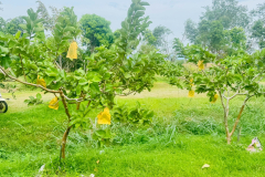 LINE_ALBUM_251168_251125_11