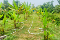 LINE_ALBUM_251168_251125_3